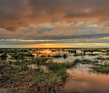 Sunset / ***