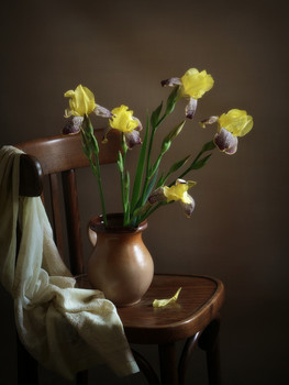 Irises / 2019