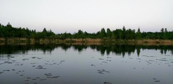 Reflection / ***