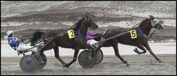 at the finish line / ***