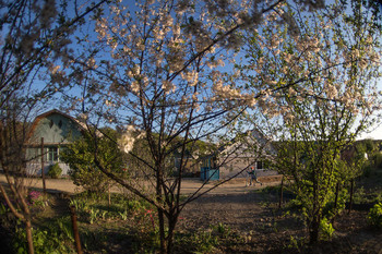 Spring / ***