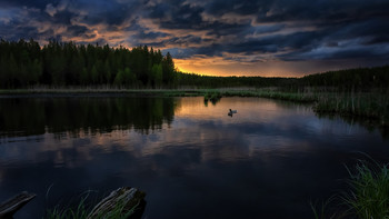clouds / ***