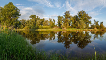 Quiet summer evening / ***