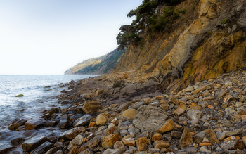 on the shore / ***