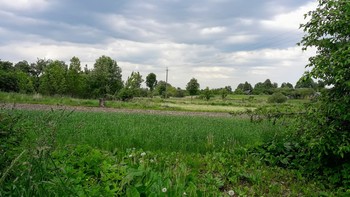 Evening in the village / ***