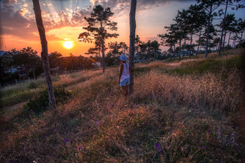 Provazhaya sunset / ***