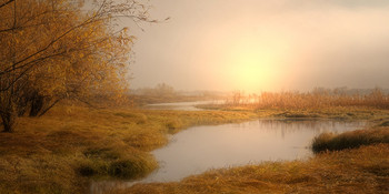 In the meadow ... / ***