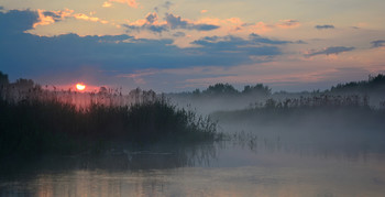 June Dawn / ***