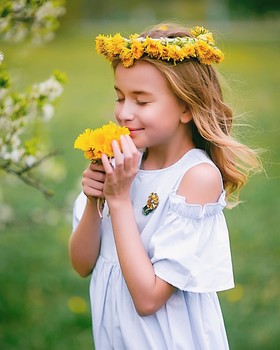 Petal / ***