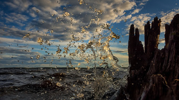 splash / ***