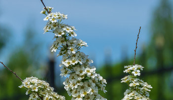 Was the month of May / ***