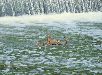 At the waterfall / ***