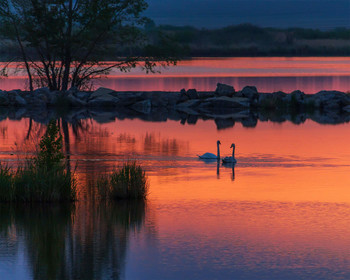 Morning meeting / ***