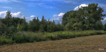 Native Land / ***