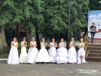 Parade of Brides / ***