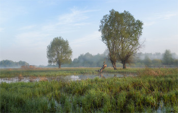 In the morning ... / ***