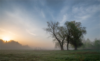 Morning silence / ***