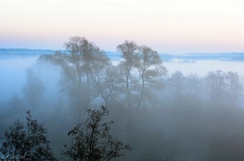 Morning silence / ***