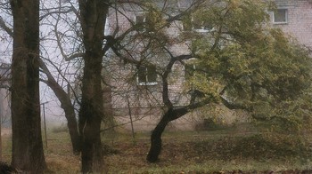 Morning silence / ...