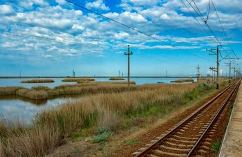 Lines / ***