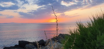 Morning silence / ***