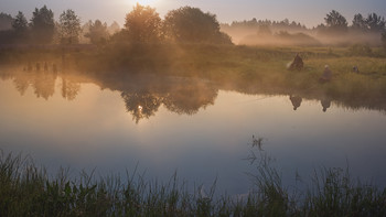 Cool place / ***