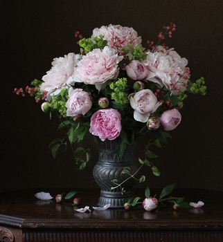 still life with peonies / ***