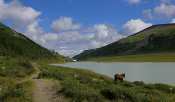 At the pond / ***