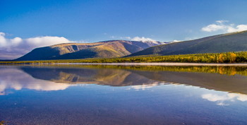 Reflection / ***