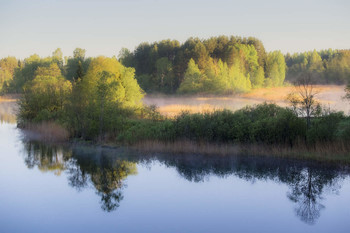 Bright morning / ***