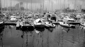 In the harbor / ***