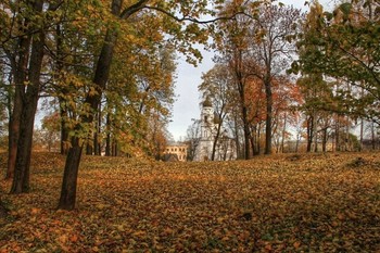 colors of autumn / ***