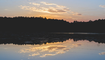 Morning on the lake / ***