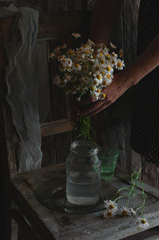 Bouquet of daisies / .........................