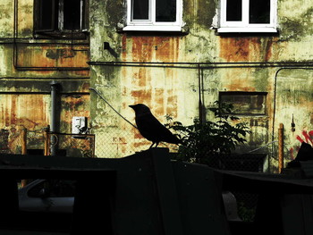 etude / 2015-07-07-328-C0-036(82)+C