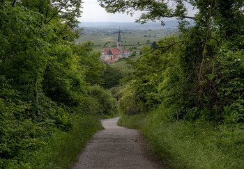 The path to the temple / ...