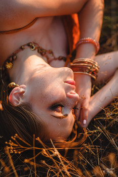 In the last rays / ***