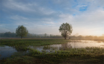 After the rain / ***