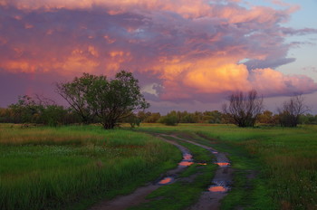 after the storm / ***