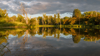 Spring Evening / ***