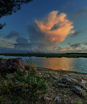 Evening / ***
