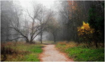 autumn motive / ***