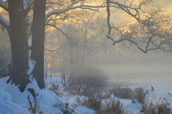 At the lake ... / ***