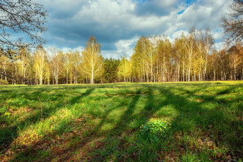 long shadows / ***