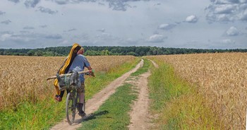 road to home / ***