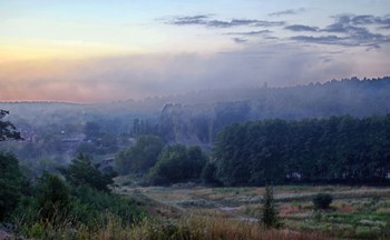 Foggy morning / ***