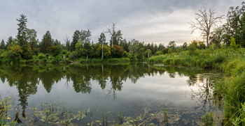 Evening on the lake in the woods / ***