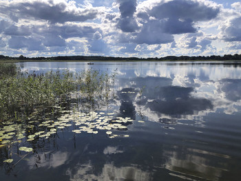 On the lake / ***