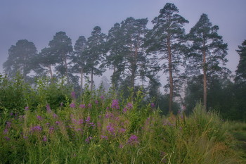 At dawn / ***