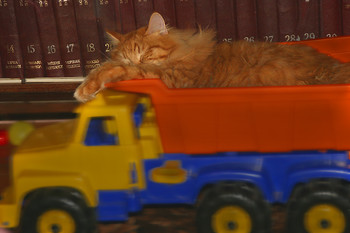 Beware of the Car / ***